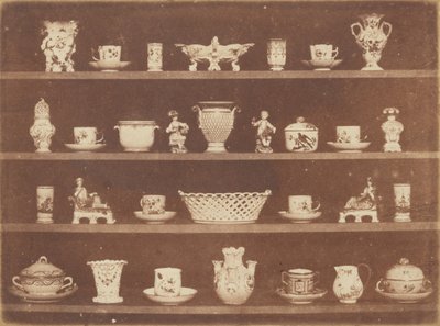 Articoli di Cina da William Henry Fox Talbot